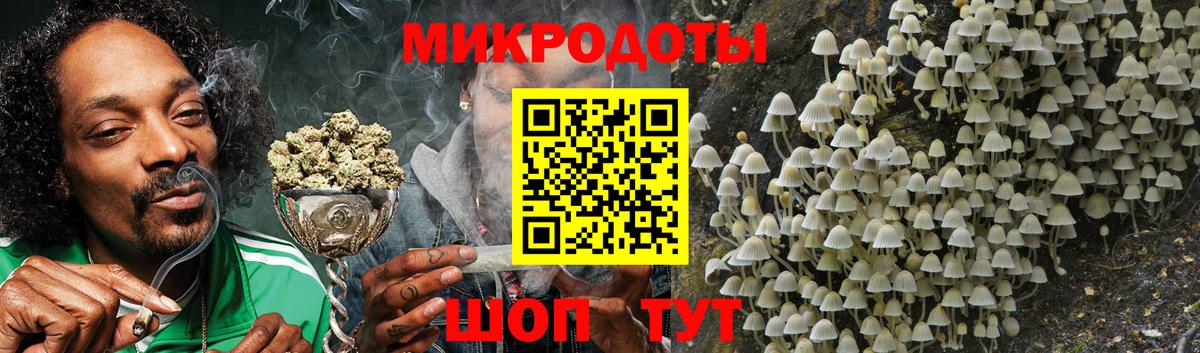 Татарск  Галлюциногенные грибы Cubensis  Вход с VPN 